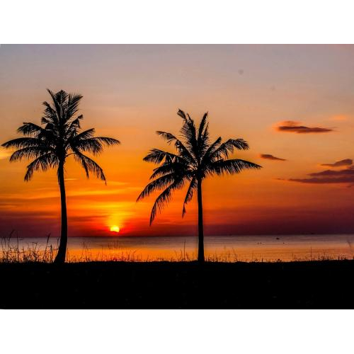 Bãi Trường Phú Quốc – Hoàng Hôn Lãng Mạn Trên Bãi Cát Thơ Mộng